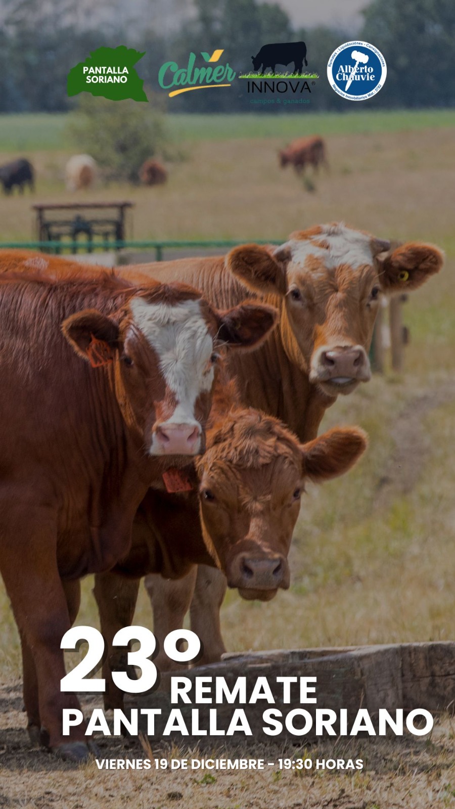 23° Remate - Pantalla Soriano